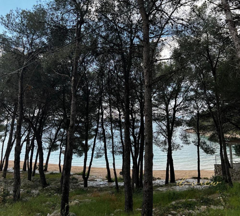 D-View Premium Mobile Home - Panoramic Seaview - 150 M From Beach, Free Parking Drage Exterior photo